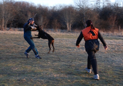 Training in Estonia 30.3 - 1.4. 2007